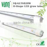 VANQLED G13 Led Grow Lamp Tube for Plant Factory With CE,RoHS Approved,one-end Plug Connecting thumbnail-3