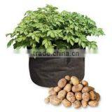 Non Woven Fabric Tomato Grow Bag by Non Woven Grow Bag thumbnail-3
