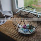 Large Terrarium Icosidodecahedron Stained Glass Terrarium Glass Decoration Planter for Indoor Gardening Home Decor Christmas Ter thumbnail-2