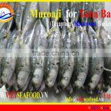 FROZEN W/R MUROAJI FOR TUNA BAIT thumbnail-1