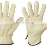 Winter Driver Glove ZM717-G thumbnail-1