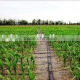 PE Irrigation Lay Flat Hose thumbnail-3