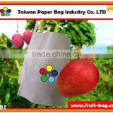 TPBI Cultivator Grow Protection Wax Coating Protective Paper Bag thumbnail-1