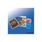 Sea Food Packing thumbnail-1