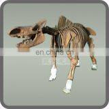 Replica Animal Skeletons Wholesale