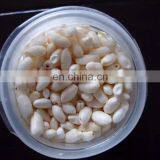 Hot Air Popcorn Machine for Corn Maize Rice Wheat/corn Popped Machine/rice Puffed Making Machine thumbnail-5