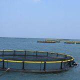 Square And Circle Floating Cage Floating Aquaculture Fishing Cage