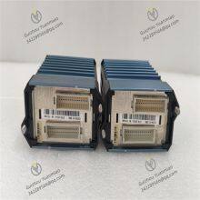 Foxboro FEM100 P0973CA Module d'extension de bus de terrain thumbnail-2