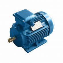 Rare Earth Permanent Magnet Synchronous Motor, Environmentally Friendly and Energy-saving Motor, Trend Product, Tyb-90s L-4/1.1kw 1.5kw thumbnail-2