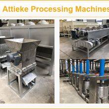 Small Scale 1-2TPH Attieke Making Line Cassava Procesing Plant for Attieke Production Peeler-Grater-Presser-Granulator-Steamer thumbnail-5