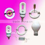 Energy Saving Electrodeless Induction Lamp