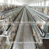 Automatic Brooder Chicken Cage Design For Poultry Chicken Farm thumbnail-3