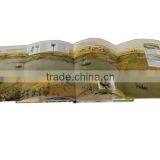 Professional Photo Album Printing, Coloring Photo Book Printing thumbnail-6