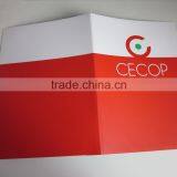 Custom Printed a4 Size File Folder
