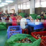 Dongguan Beibei Toys Industry Co., Ltd. company overview - view 3 thumbnail