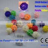 Customized LED String Decorative LED Garden Decor String Light thumbnail-2