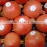 Bulk Pomegranate