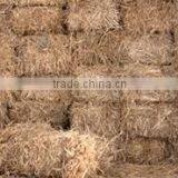 Straw Hay Bale, Wheat Hay Bale, Wheat Straw Bale, Straw Hay for Animal, Feeding Straw Hay thumbnail-1