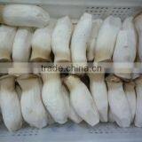 Fresh Pleurotus Eryngii Mushroom thumbnail-1