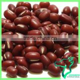 Small Red Beans Adzuki Beans 2016 Crop