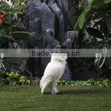 Home or Garden Decoration Imitation Birds thumbnail-5