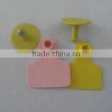 pu Animal Ear Tag thumbnail-1