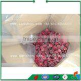 Food Freezing IQF Blast Freezing Vegetable Freezing Machine Frozen Cranberries thumbnail-4