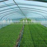 BaoLiDa Low Costagricultural Plastic Film Covering Tunnel Greenhouse thumbnail-6