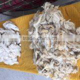 Sheep Wool / Raw Wool / Animal Hair ( Washed ) thumbnail-3