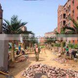 Artificial Palm Tree for Decoration China Fake Garden Fiberglass Tree Decor thumbnail-6