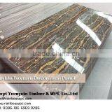 Foam Board/PVC Foam Board/Foam Board Printing