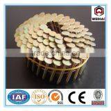 Pallet Coil Nail/Zince Coil Nails /Painted or Polished Coil Nail for Pallet thumbnail-1