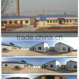 Instant Mango Juice Drink Powder Factory thumbnail-5