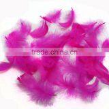 Wholesale Multicolor Decotation Goose Feather for Party and Wedding,5-8cm Import From China thumbnail-4