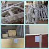 Fitness Machine / Standing Leg Extension XR17 thumbnail-2