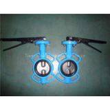 Notched Butterfly Valve