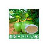 Passion Fruit Juice Powder thumbnail-1