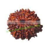 Rare Nepali Rudraksha Beads 13 Mukhi (thirteen Face), Size: 19x21mm thumbnail-1