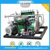 GL-10/160 Air Oxygen Helium Diaphragm Compressor Gl Series Atmospheric Pressure Customizable