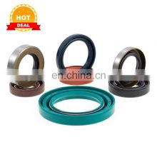 Manufacture Of Seal Double Lips Rotary Shaft Hydraulic Plunger Pump TC Wheel Oil Seal For Automotive