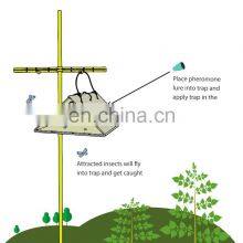 OEM Manufacturers Powerful Safer Sticky Moth Traps to Control Food Moth Cloth Strong Glue+paper+pheromone Bait 2 Year All-season thumbnail-4