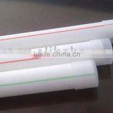 PPR Pipe for Hot and Cold Water