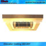 Elevator Parts/Passenger Lift Car Cabin Ceiling Panel thumbnail-1