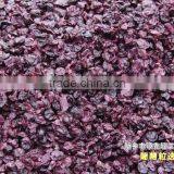 Strong Double Screw Fruit Juice Extractor thumbnail-2