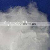 Polyester Staple Fiber 1.2DX38MM Bright by HAILUN, SFX GROUP thumbnail-1
