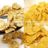 AUtomatic Snack Food Bulk HALAL Roasted Corn Flakes Machine thumbnail-2