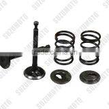 GX35_Valve In/Ex Kit With Spring for Brush Cutter