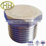 Carbon Steel and Stainless Hexagon Plug thumbnail-1