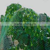 garden HDPE white anti bird netting protecting fruit trees