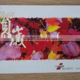 Congratulations Card Funny Greeting Card thumbnail-1